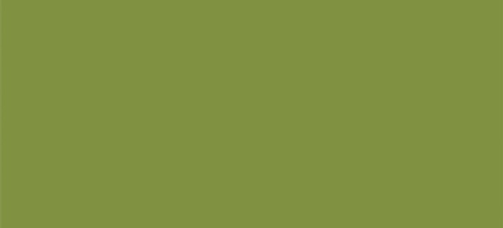 HANEX M-015 Matcha surface pattern
